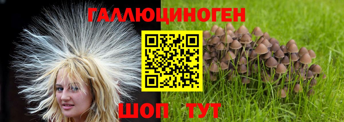 Псилоцибиновые грибы Magic Shrooms Кирово-Чепецк